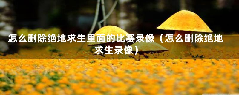 怎么删除绝地求生里面的比赛录像（怎么删除绝地求生录像）