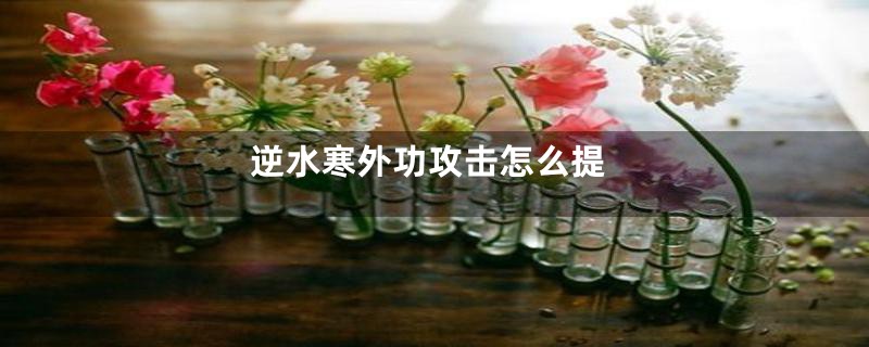 逆水寒外功攻击怎么提