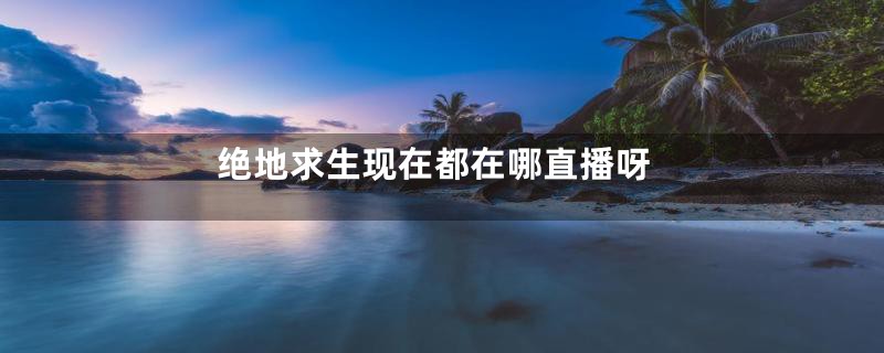 绝地求生现在都在哪直播呀