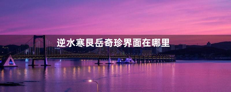 逆水寒艮岳奇珍界面在哪里