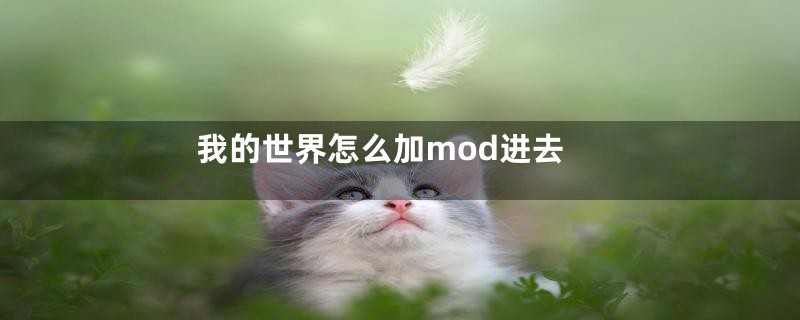 我的世界怎么加mod进去