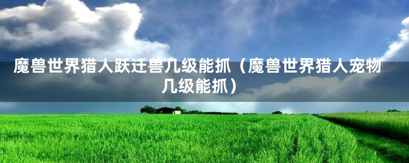 魔兽世界猎人跃迁兽几级能抓（魔兽世界猎人宠物几级能抓）