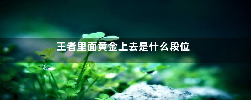 王者里面黄金上去是什么段位