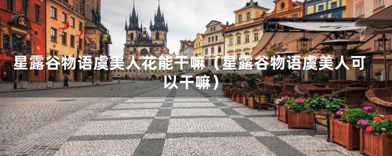 星露谷物语虞美人花能干嘛（星露谷物语虞美人可以干嘛）