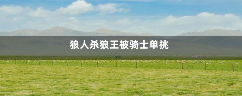狼人杀狼王被骑士单挑