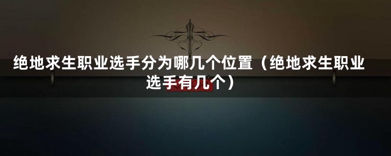 绝地求生职业选手分为哪几个位置(绝地求生职业选手有几个)