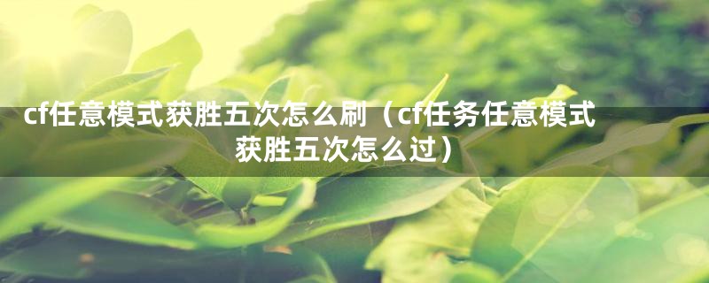 cf任意模式获胜五次怎么刷(cf任务任意模式获胜五次怎么过)