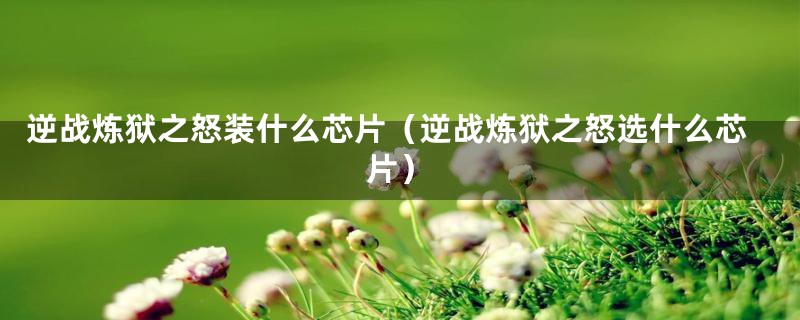 逆战炼狱之怒装什么芯片（逆战炼狱之怒选什么芯片）