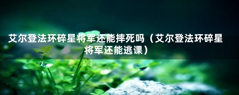 艾尔登法环碎星将军还能摔死吗（艾尔登法环碎星将军还能逃课）