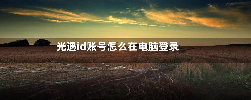 光遇id账号怎么在电脑登录