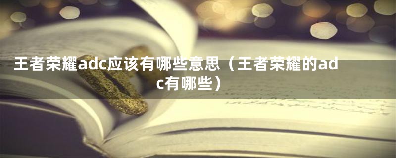 王者荣耀adc应该有哪些意思(王者荣耀的adc有哪些)