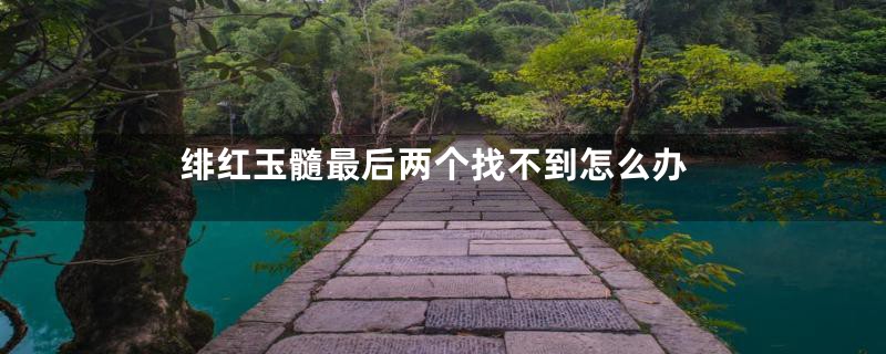 绯红玉髓最后两个找不到怎么办