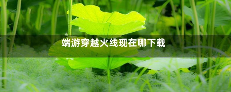 端游穿越火线现在哪下载