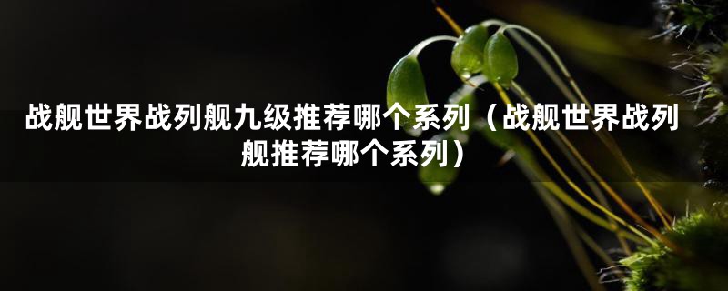 战舰世界战列舰九级推荐哪个系列(战舰世界战列舰推荐哪个系列)