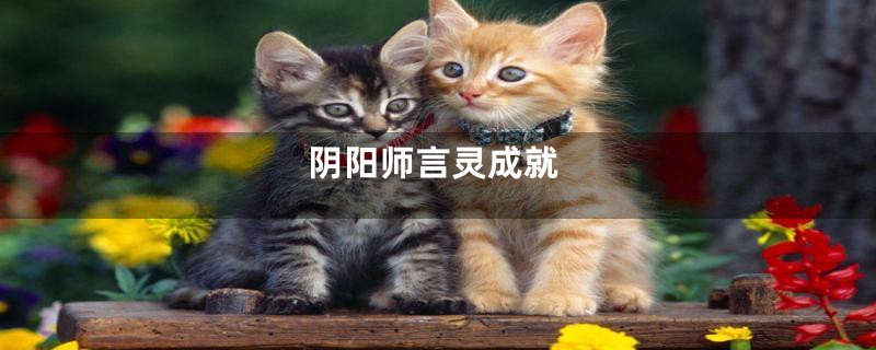 阴阳师言灵成就