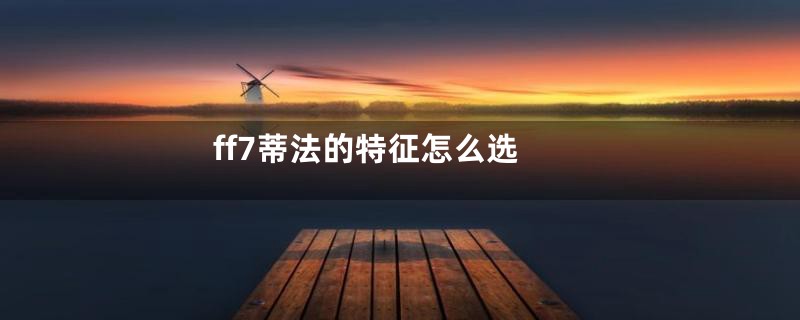 ff7蒂法的特征怎么选