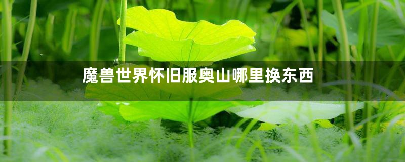 魔兽世界怀旧服奥山哪里换东西