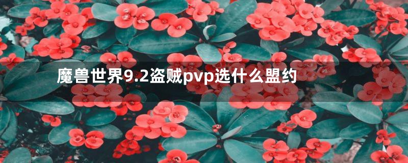 魔兽世界9.2盗贼pvp选什么盟约