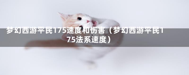 梦幻西游平民175速度和伤害（梦幻西游平民175法系速度）