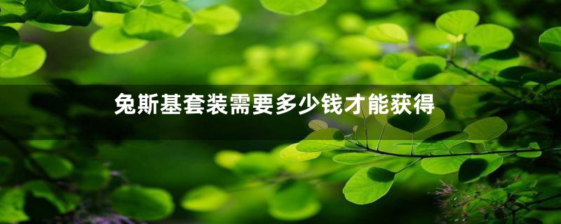 兔斯基套装需要多少钱才能获得
