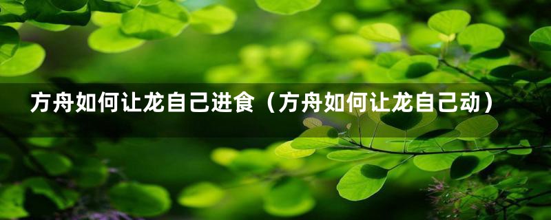 方舟如何让龙自己进食（方舟如何让龙自己动）