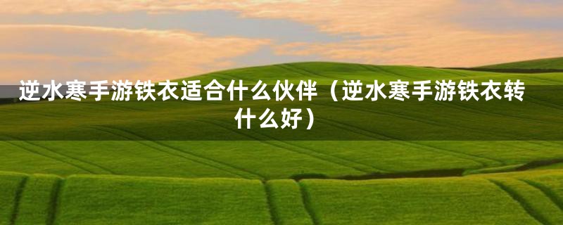 逆水寒手游铁衣适合什么伙伴(逆水寒手游铁衣转什么好)