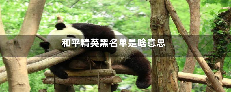 和平精英黑名单是啥意思