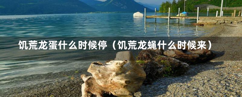 饥荒龙蛋什么时候停(饥荒龙蝇什么时候来)