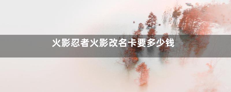火影忍者火影改名卡要多少钱