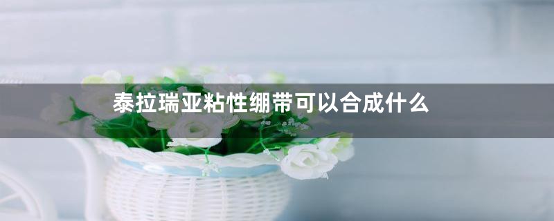 泰拉瑞亚粘性绷带可以合成什么