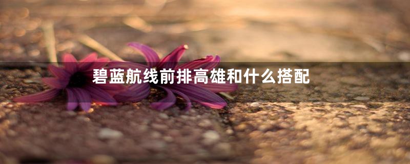 碧蓝航线前排高雄和什么搭配