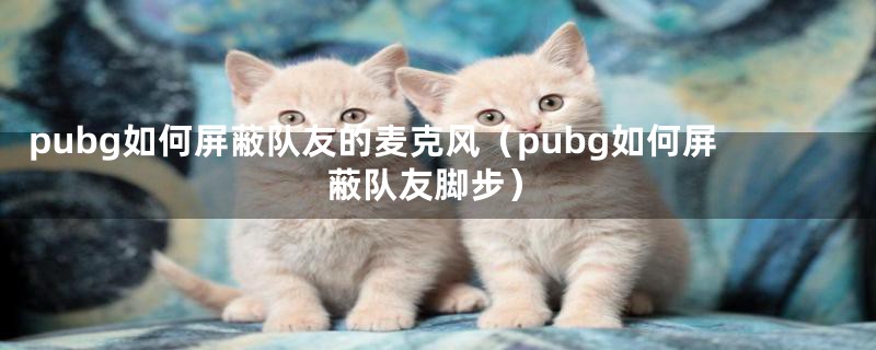 pubg如何屏蔽队友的麦克风(pubg如何屏蔽队友脚步)