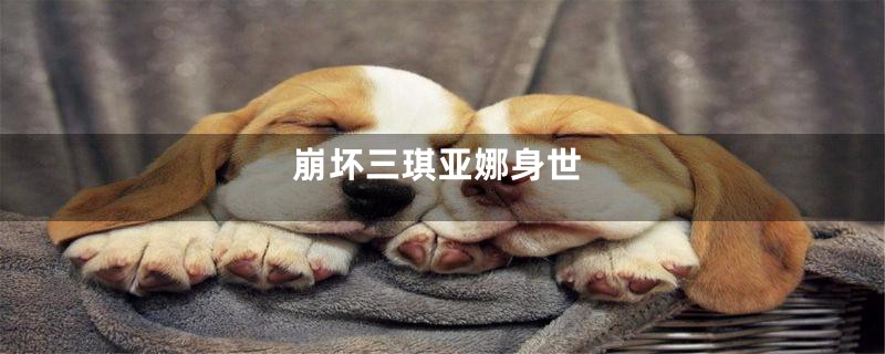崩坏三琪亚娜身世