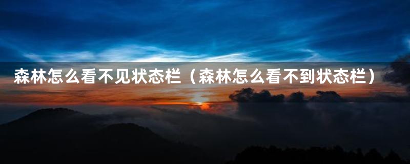 森林怎么看不见状态栏(森林怎么看不到状态栏)