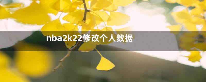 nba2k22修改个人数据