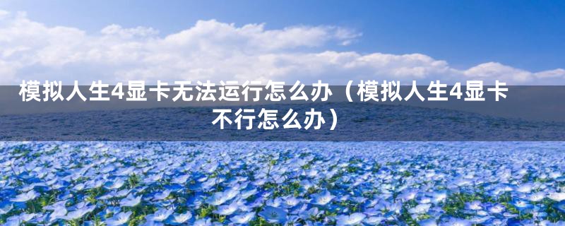 模拟人生4显卡无法运行怎么办（模拟人生4显卡不行怎么办）