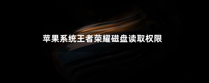苹果系统王者荣耀磁盘读取权限