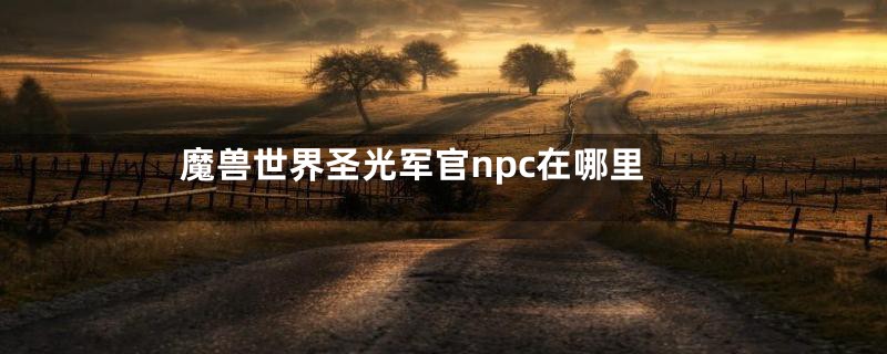 魔兽世界圣光军官npc在哪里