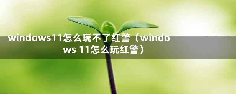 windows11怎么玩不了红警(windows 11怎么玩红警)