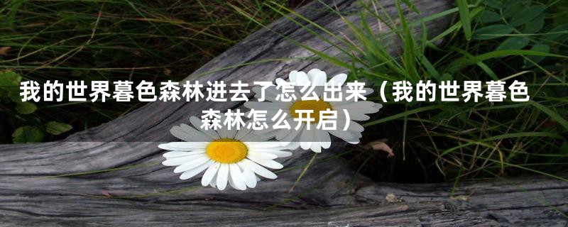 我的世界暮色森林进去了怎么出来（我的世界暮色森林怎么开启）