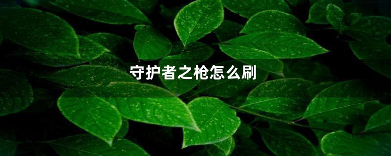 守护者之枪怎么刷