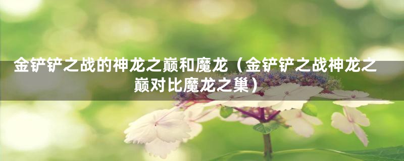 金铲铲之战的神龙之巅和魔龙（金铲铲之战神龙之巅对比魔龙之巢）