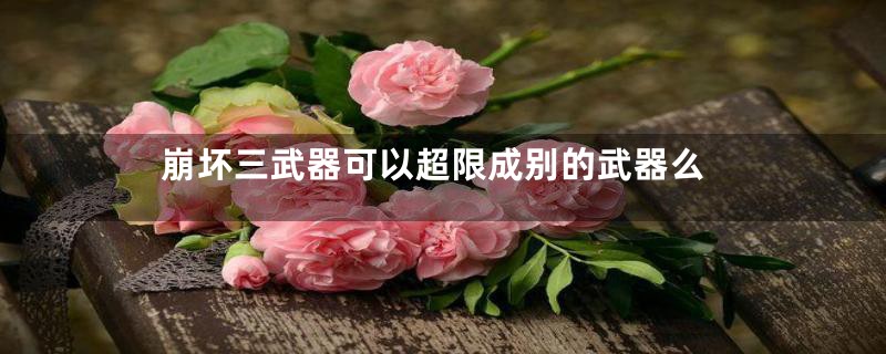 崩坏三武器可以超限成别的武器么