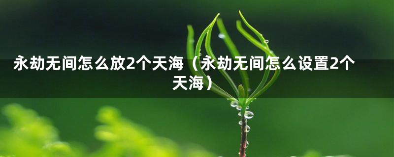 永劫无间怎么放2个天海（永劫无间怎么设置2个天海）