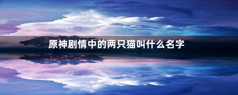 原神剧情中的两只猫叫什么名字