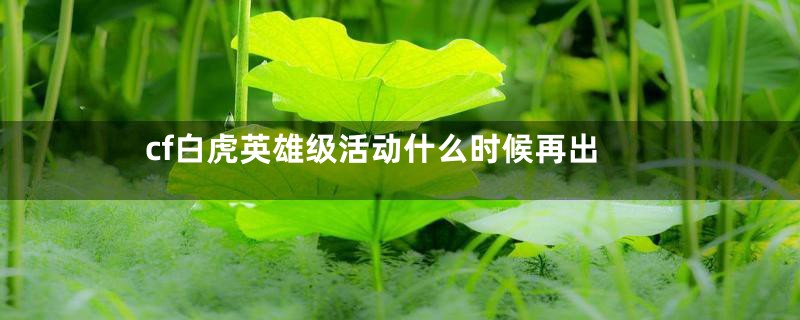 cf白虎英雄级活动什么时候再出