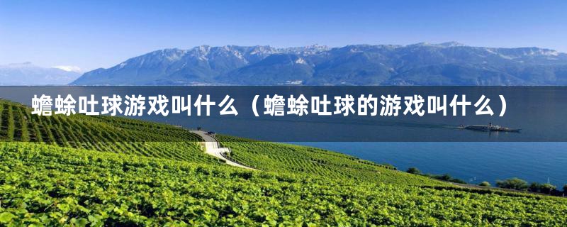 蟾蜍吐球游戏叫什么(蟾蜍吐球的游戏叫什么)