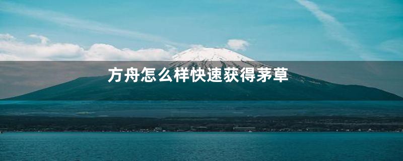 方舟怎么样快速获得茅草