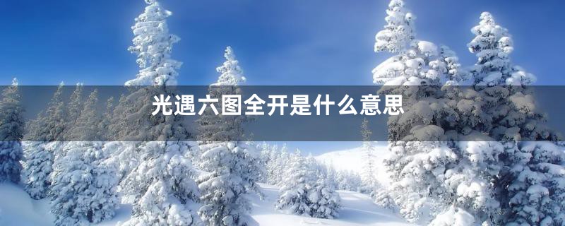 光遇六图全开是什么意思