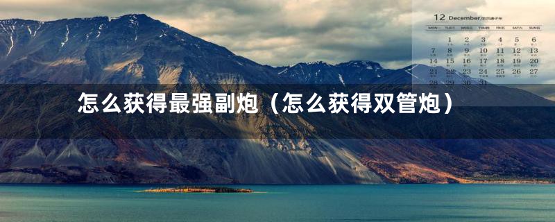 怎么获得最强副炮（怎么获得双管炮）